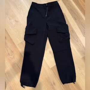 Aritzia Wilfred Cargo Pants